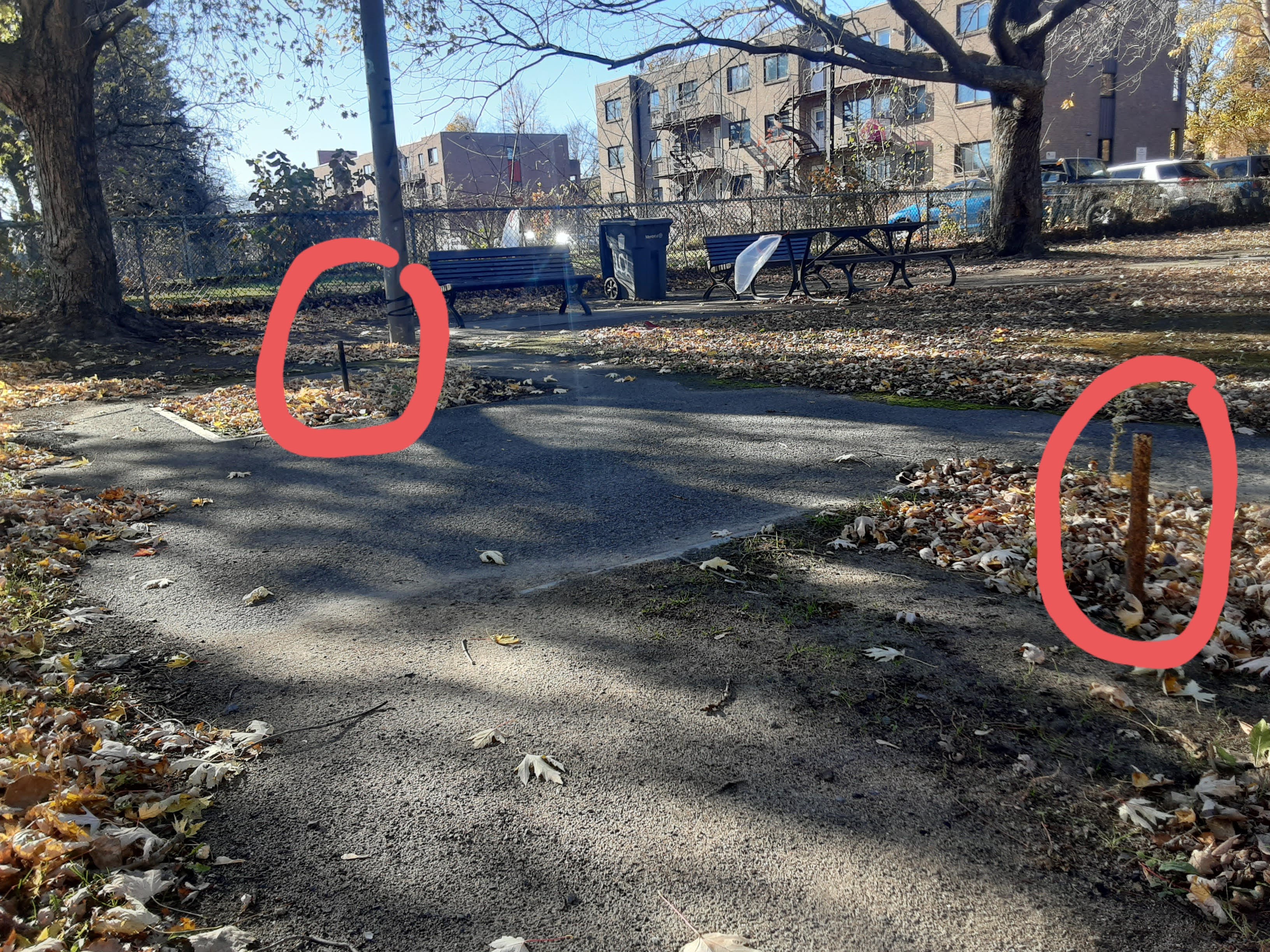 Vue d'ensemble du parc — tuyaux signalés en rouge, allée centrale