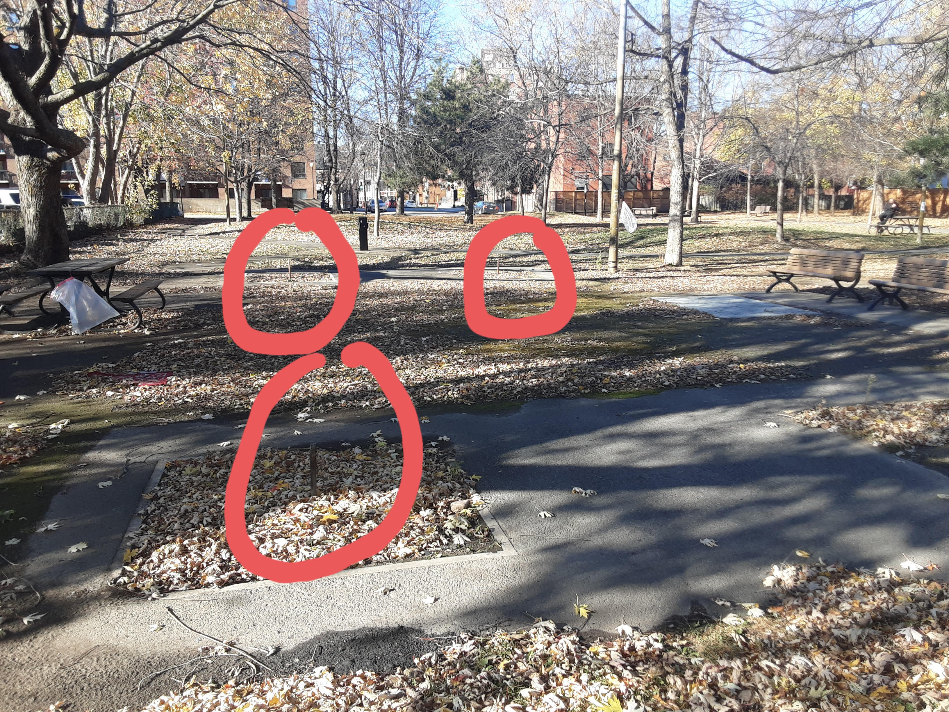 Vue large du parc — trois tuyaux cerclés, bancs en arrière-plan