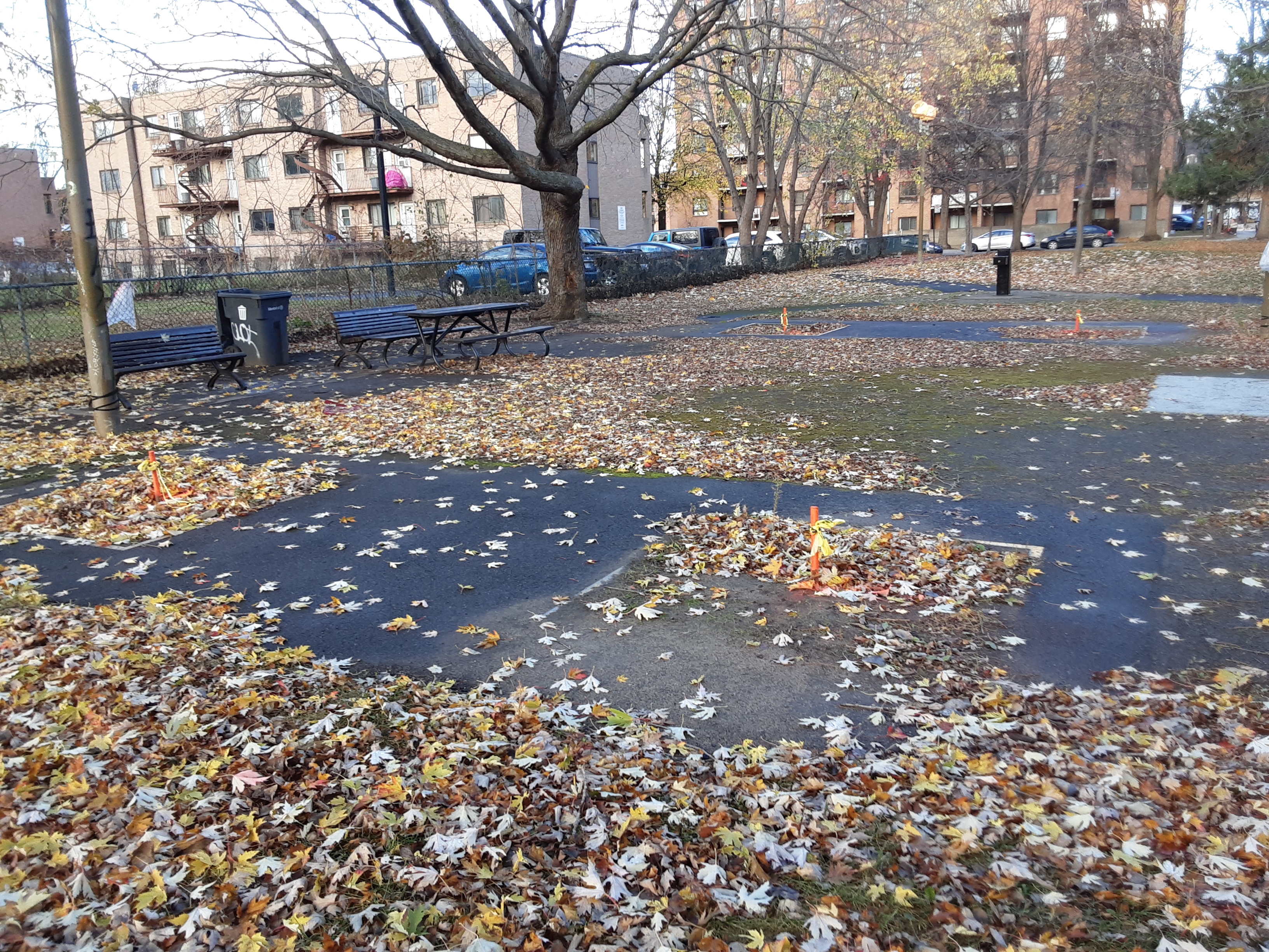 Vue du parc le 12 novembre — cônes orange de signalisation installés