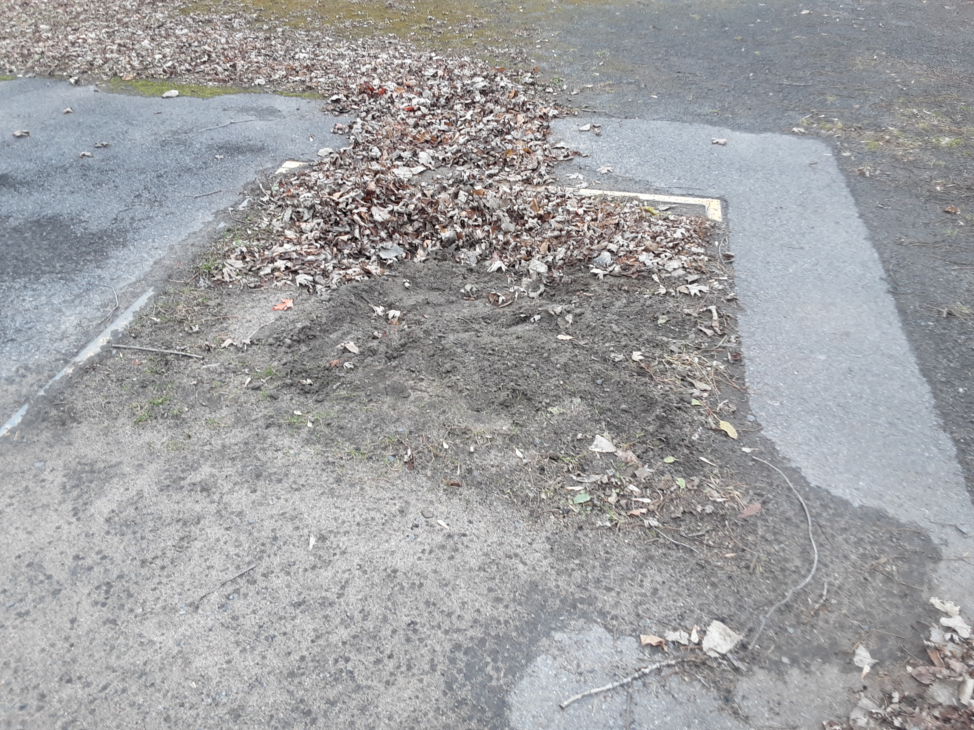 Carré de plantation vide — le tuyau a été arraché
