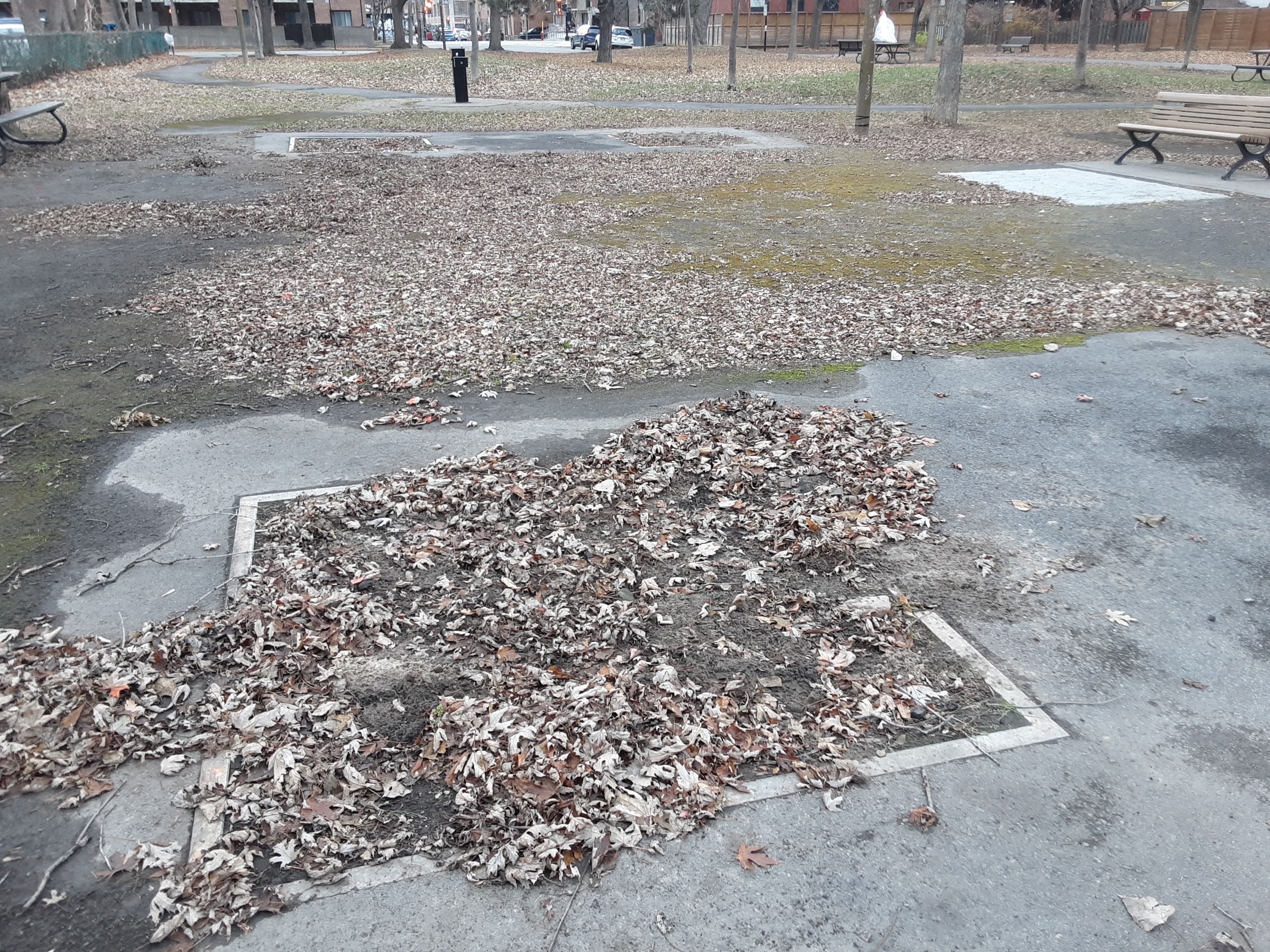 Vue large du parc — tous les tuyaux ont disparu